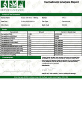 214396972.webp